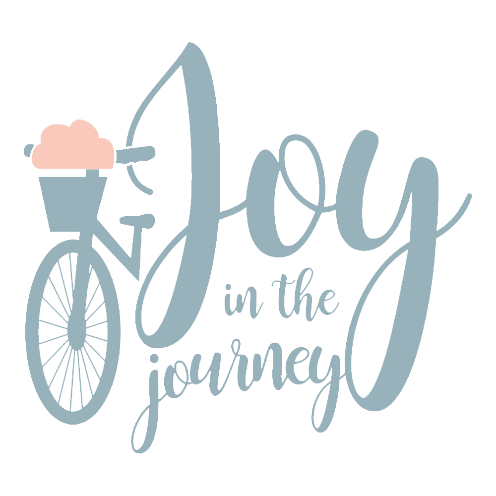 Joy in the Journey