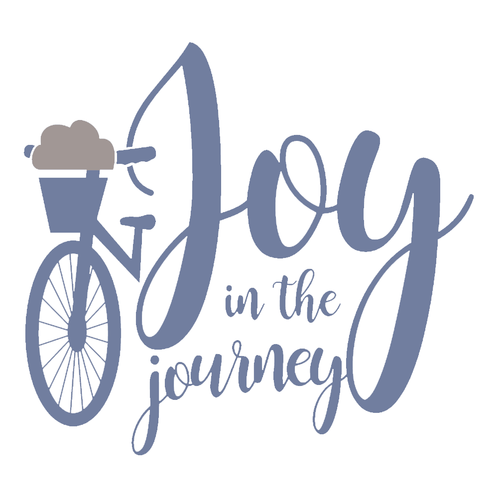 Joy in the Journey
